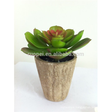 Artificial Plastic Mini Succulents Plants for Home Decoration